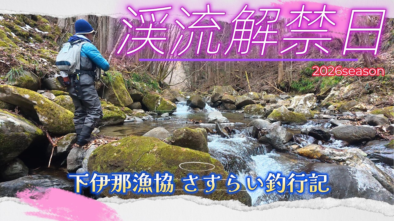 【2026渓流解禁】環境変化！釣果を決める重要な川選択 低活性の攻略は魚影と水温のバランスがカギ！2026下伊那漁協 渓流ルアーフィッシング開幕