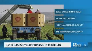 Over 9,200 cyclosporiasis cases have been reported in Michigan