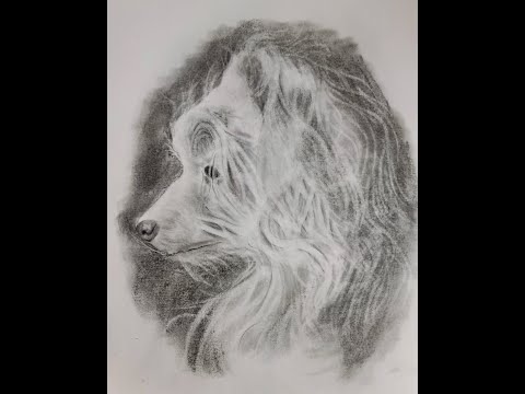 Charcoal Dog Portrait: Adult Art Class Nov21