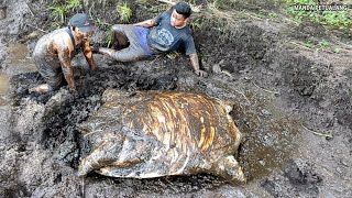 BULUS RAKSASA DAN TERBESAR YANG PERNAH SAYA TEMUI..!!!