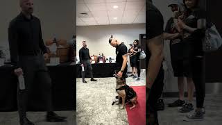 The Best Canine Pro Hub - Ares' First Show: Unforgettable Weekend