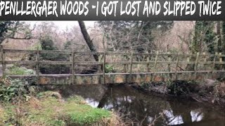 Penllergaer woods part 2 virtual walking video for treadmill