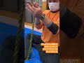 初めてのしめ縄作り
