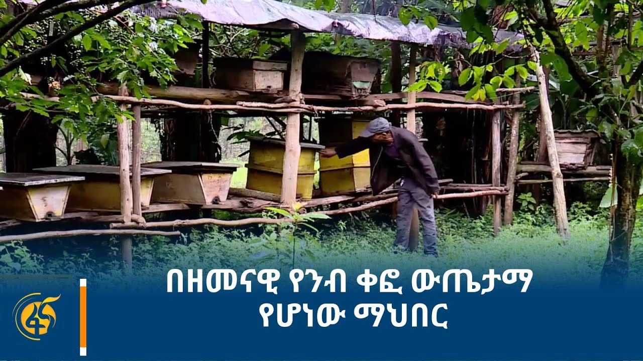 በዘመናዊ የንብ ቀፎ ውጤታማ የሆነው ማህበር