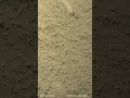 mars #mars #shorts credit nasa.gov