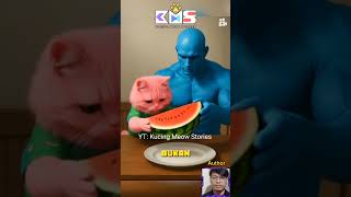 Kucing Vs Ayah Rebutan Semangka‼️🤣
