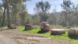 Выпускники нашей клиники - категория мышления. Часть девятая // קטגוריית חשיבה - חלק תשיעי
