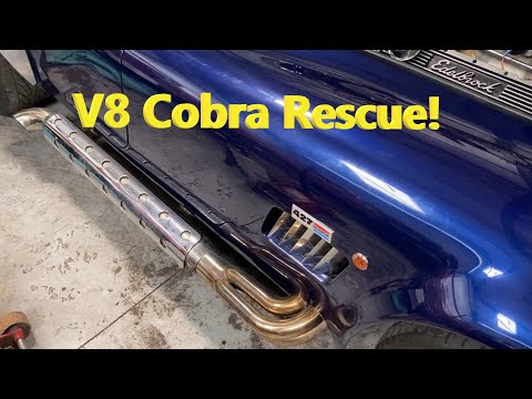 Can I make this 6.6ltr Chevy powered Cobra run? I hasn't for a year, but I can try...
