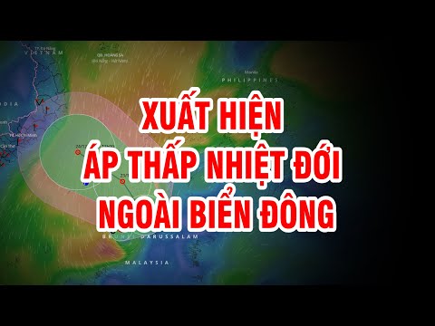 Bản tin thời tiết 21/12: Áp thấp nhiệt đới ngoài Biển Đông | Quảng Ngãi sắp có mưa lớn diện rộng?