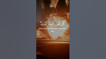 "كل نفس ذائقة الموت" تلاوة تقشعر لها الأبدان | Abdulrhman Mosad