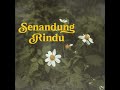SENANDUNG RINDU | ANDIAN  (Official Audio)