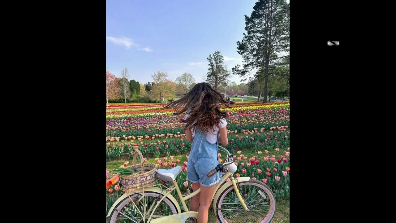 [FREE] Acoustic Guitar Type Beat - 