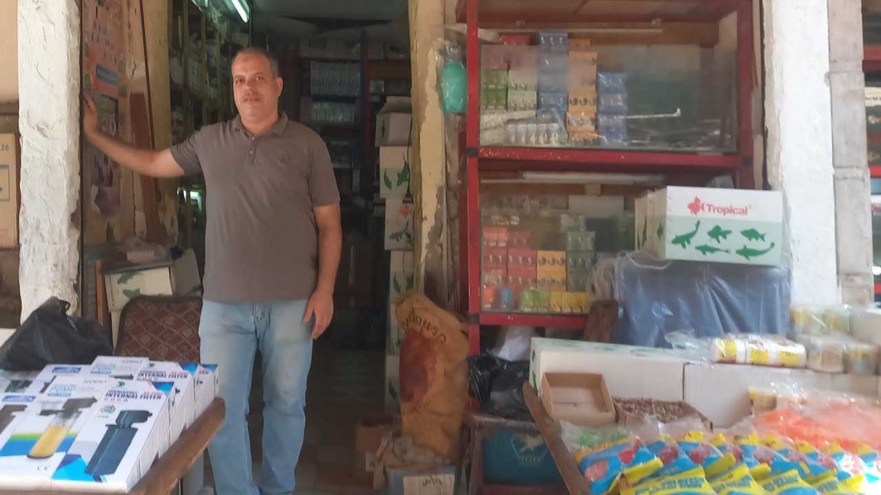 لهواة سمك الزينة اسعار الجملة والقطاعي لكل مستلزمات سمك الزينة وأكله مع الاستاذ عصام ومكانه ورقمه