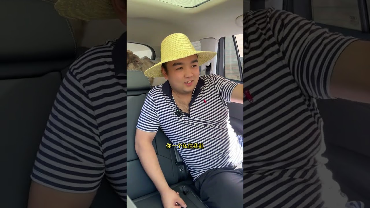 挑战全网最牛逼的拉羊车#玩的就是真实 #奥迪Q6拉羊#豪车拉羊