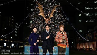 松井玲奈、ライス関町に鋭いアドバイス（「ハリー・ポッターツリー」～Chosen by the Goblet～点灯式／平岡祐太 松井玲奈 関町知弘）