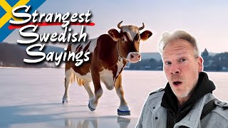 10 Bizarre Swedish Sayings Explained by Three Star Vagabond 1,493 views 2 months ago 12 minutes, 35 seconds