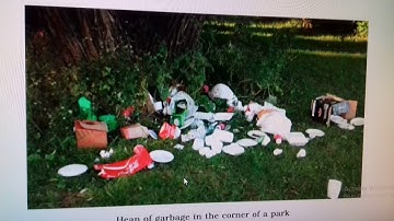 Class 4th.evs.lesson 2.in the park.part 3. and 3,4ques