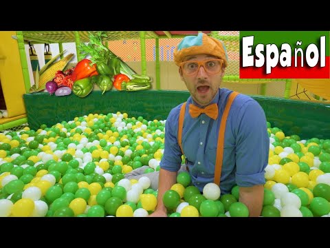 Aprenda los Vegetales