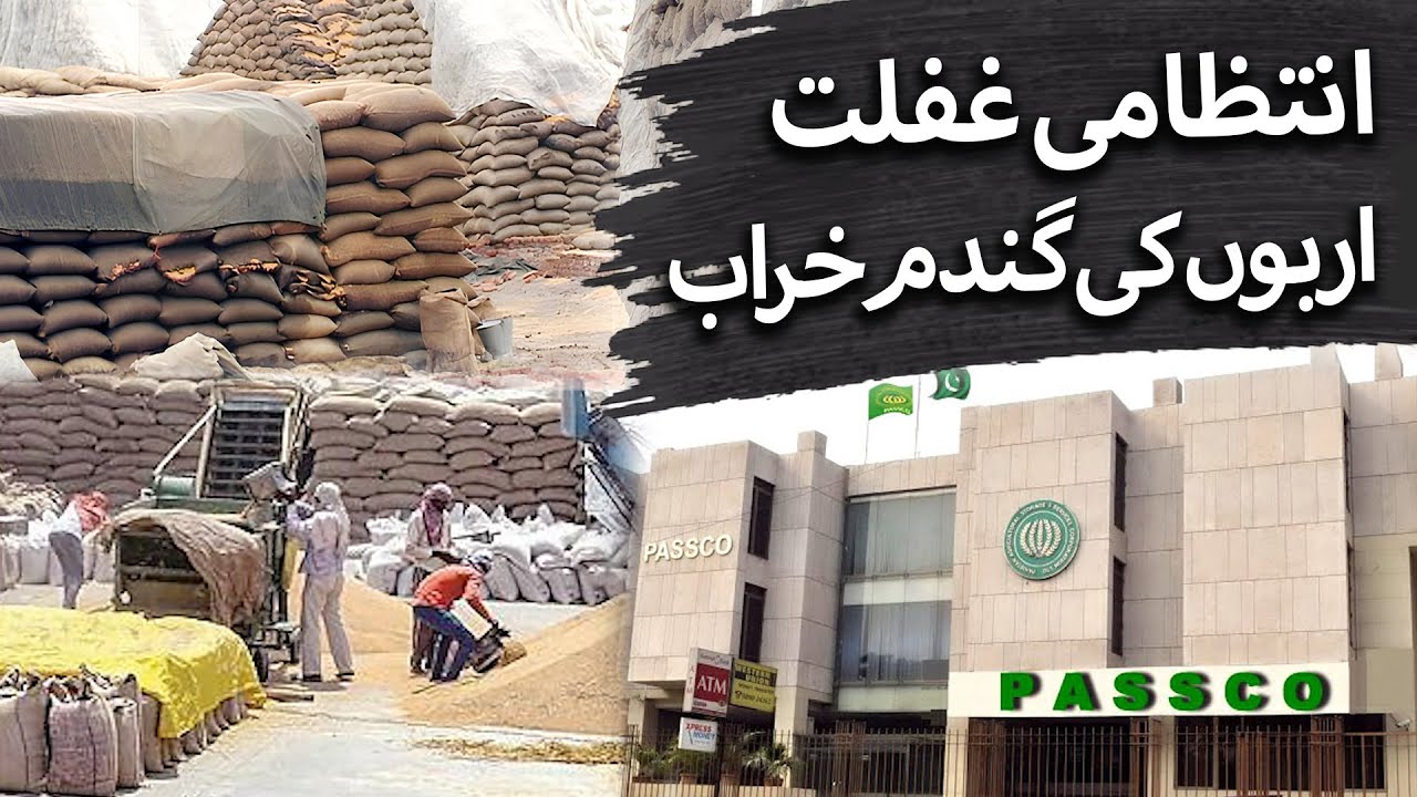 Wheat Worth Crores Ruined by Rain | PASCO Exposed |The Blue Truth | TBT Digital