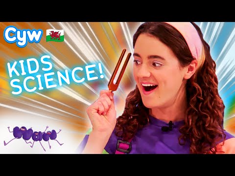 Waw! Sŵn👂| Welsh Science for Kids 🏴󠁧󠁢󠁷󠁬󠁳󠁿 (Pennod Llawn / Full Episode)