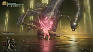 [ER] 1.04 Radagon/Elden Beast hitless strat (Reduvia/Dragon Communion Seal)