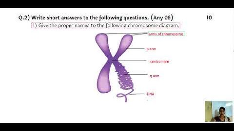 Setu Abhyas Std 10 th : Science Part 2 - Test 1 Full Test Solve | Bridge Course