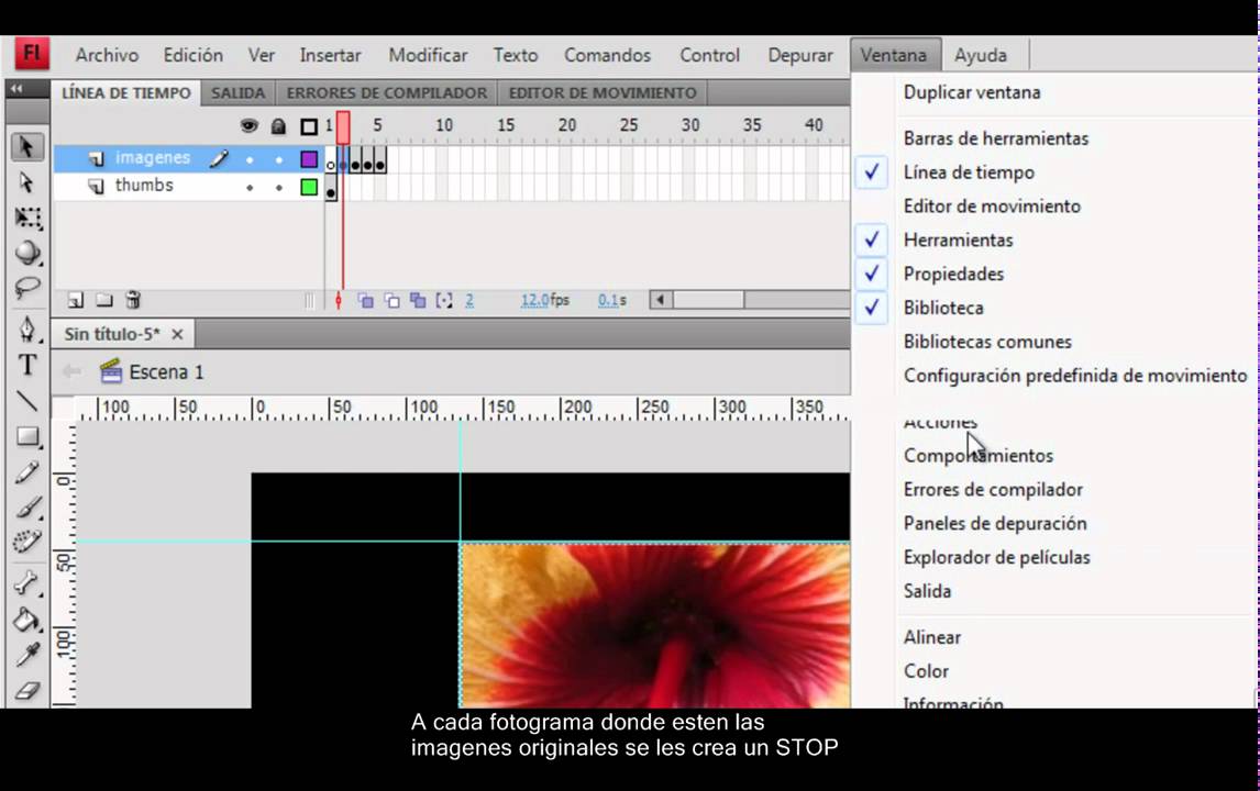 Tutorial creación galeria de imagenes en flash CS4 - YouTube