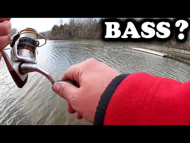 Fishing For Crappie, Bass, and Trout All in ONE LAKE! (Early Spring) 