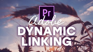 Adobe Dynamic Linking 101