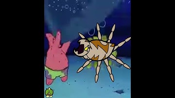 Spiders!!! Opening Skit #highlight #bugfables #spongebob