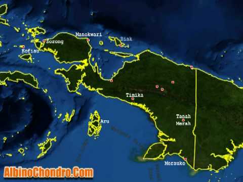Green Tree Python Locality Types - AlbinoChondro.com - YouTube