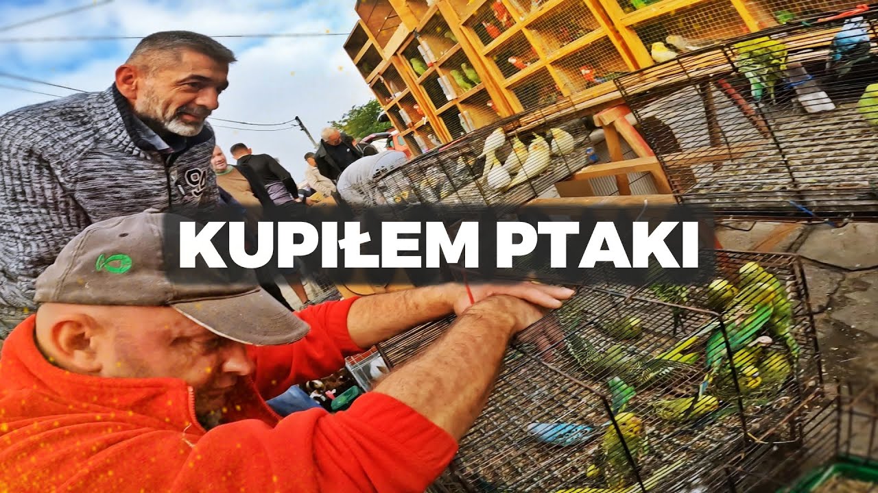 🦜 MEGA FAJNY TARG ZWIERZĄT 🦜 cz. 1 / handlujemy z Panem Józkiem ! MOJE MINI ZOO / odc. 730