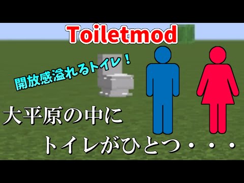 マインクラフトmod紹介 ブロックがペットになるmod Blokkit Pets Mod Youtube