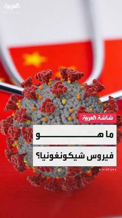     ...     ӿ
 - نشر قبل 2 ساعة