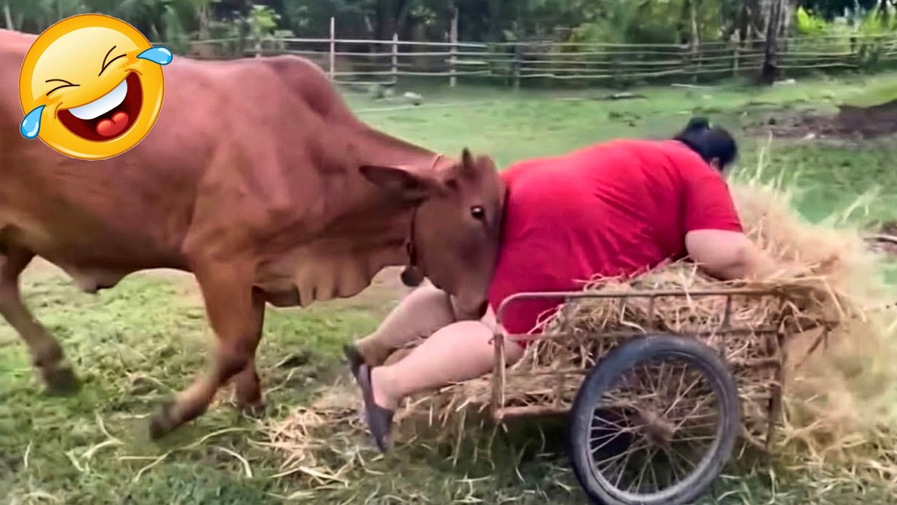 Best Crazy Fails 😂 Funny Moments Compilation | Viral Disasters - YouTube