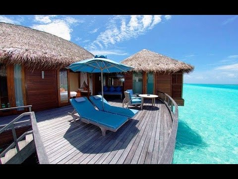 Musha Cay Island In Bahamas You Musha Cay Island In Bahamas