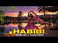 Arabic Belly Dance Remix Club Rhythm Pulse | Intense Middle East Groove