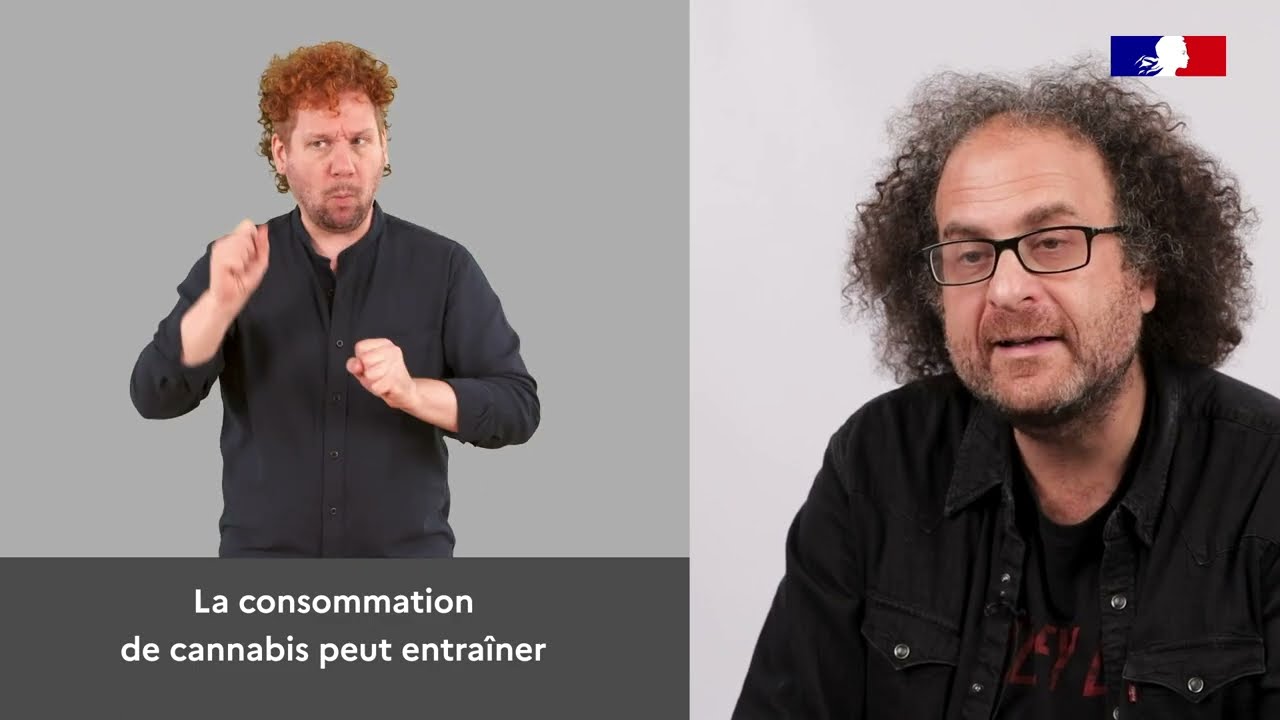 L'avis de l'expert : Cannabis et concentration – LSF