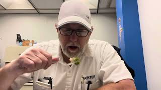 Smart Ones Creamy Basil Chicken with Vegetables # The Beer Review Guy by Jerry Fort the Beer Review Guy 114 views 6 days ago 6 minutes, 33 seconds