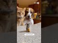 Look at this!!