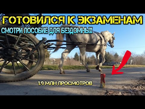 Сколько можно заработать на сборе алюминиевых банок ?