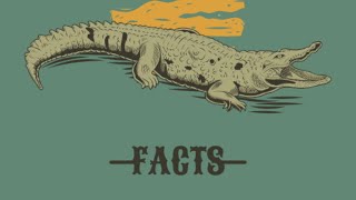Ancient Predators, The Secret Lives of Crocodilians (Crocodile, Alligator, Gharial Documentary)