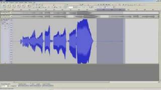 How To: Audacity 1.3 (Beta) - Basic Audio Editing with Audacity (Introduction) Net Worth