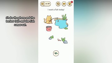 Brain Find Level 53 I want a fish today