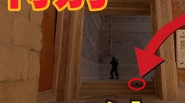 这颗闪 他白我不白 #cs2  #电子竞技 #cs2道具教学 #阿努比斯 #cs2技巧