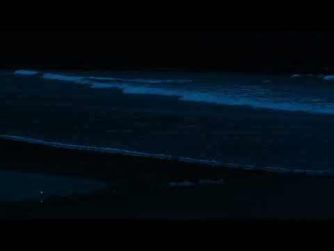 Coastal Bliss: 12