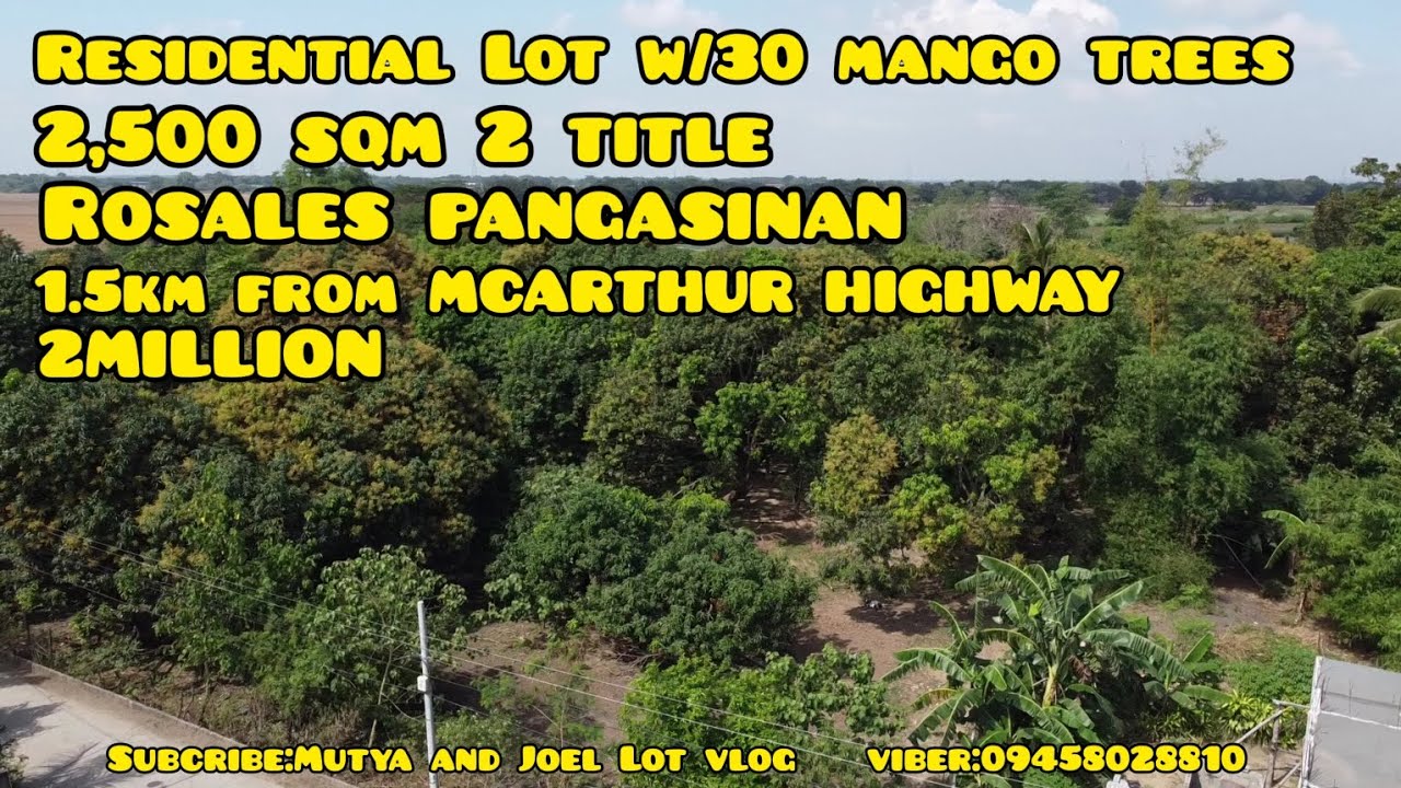 vlog 256 RESIDENTIAL W/MANGOFARM ROSALES PANGASINAN,2,500 SQM MORE OR