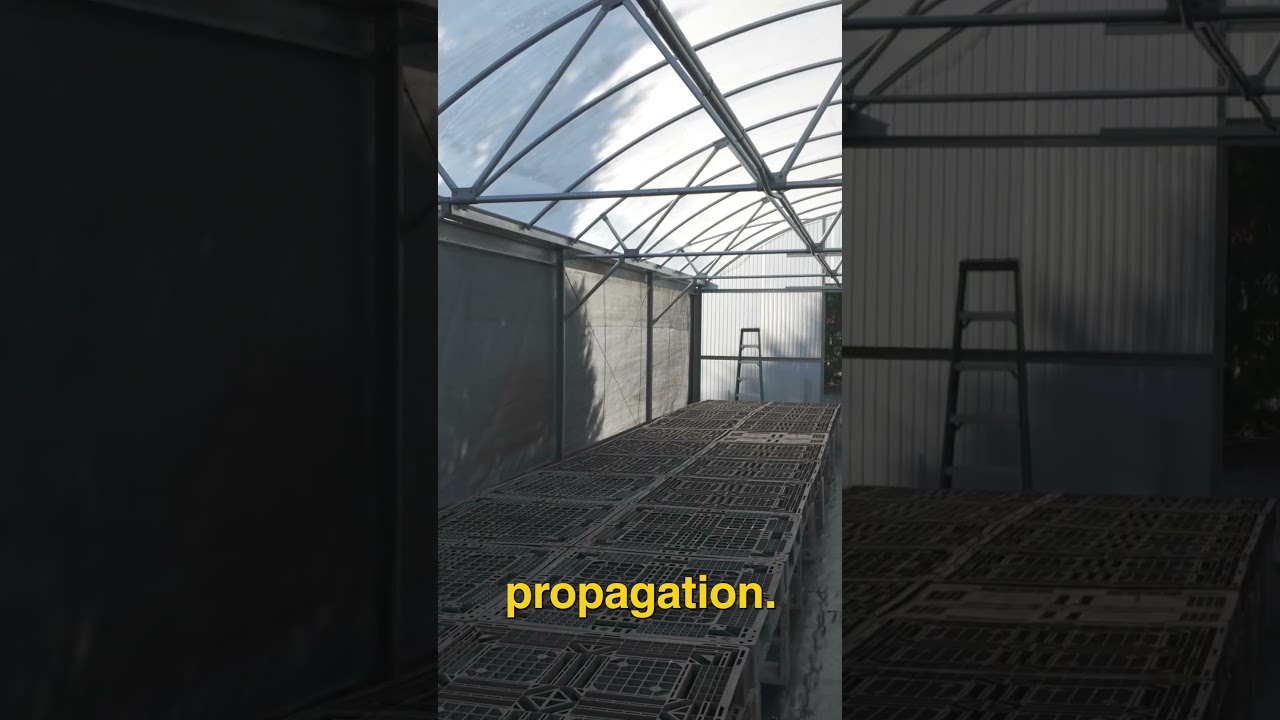 Never Thought I'd Finish This Greenhouse... #gardening #permaculture #growingfood