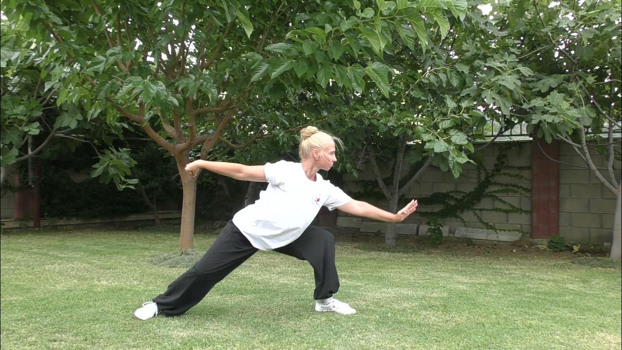 Комплекс 13 форм. Традиционное УШУ. - YouTube