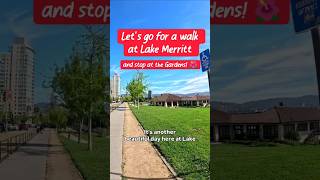 Let's walk to The Gardens at Lake Merritt and get some lunch in Oakland California!